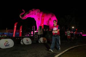 BIB: 
                            <button type="button" onclick="openModal(26534460)" class="btn btn-primary btn-sm float-right btn-popup" data-toggle="modal" data-target=".modal-high-quality">
                        <i class="fas fa-shopping-cart"></i> Add to Cart
                    </button>
                                            <button type="button" onclick="isThisMe(26534460, true)" class="btn btn-success btn-sm float-right btn-popup btn-isme hidden" data-toggle="tooltip" data-placement="bottom" title="นี่คือรูปของคุณใช่ไหม คลิกที่นี่เพื่อเอาเข้าอัลบั้ม">
                        <i class="fas fa-plus"></i> Add to album
                    </button>
                    <button type="button" onclick="isThisMe(26534460, false)" class="btn btn-warning btn-sm float-right btn-popup btn-isnotme hidden">
                        <i class="fas fa-ban"></i> Remove from album
                    </button>